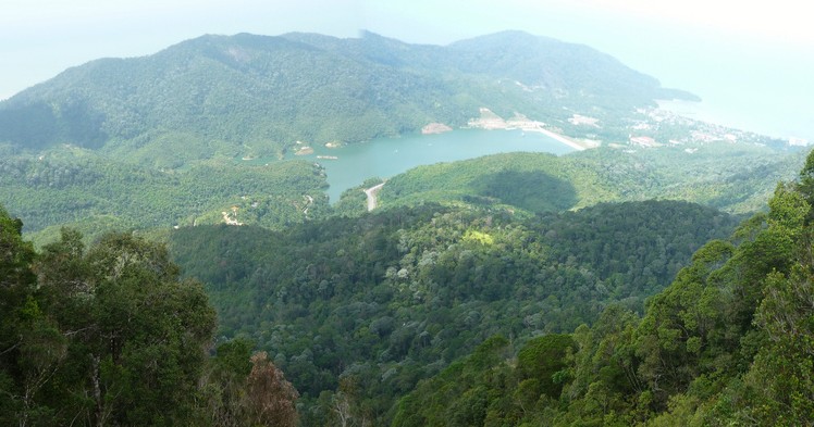 Teluk Bahang Dam in Penang National Park