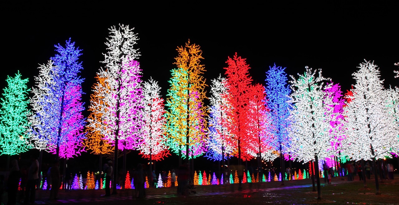 icity