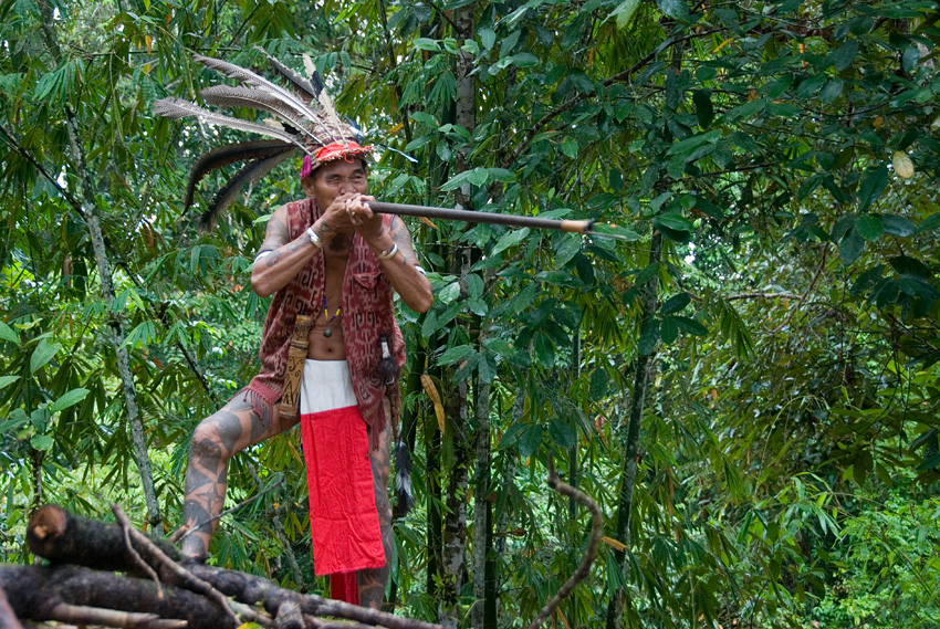 Sumpit - blowpipe sarawak