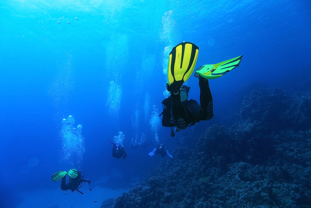 A group of divers passing exams in open waters