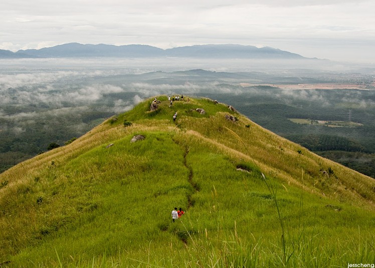 broga