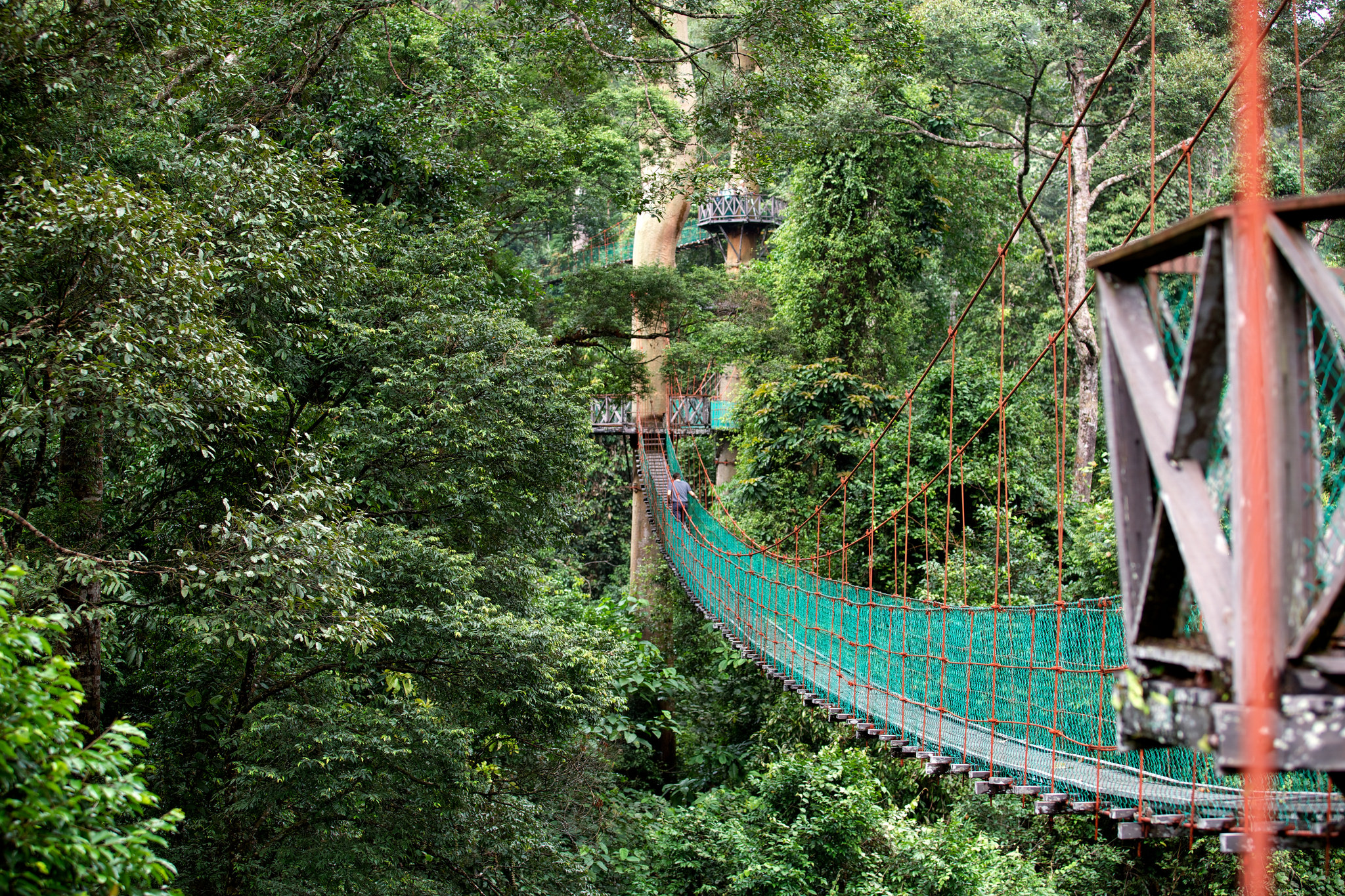 Danum Valley