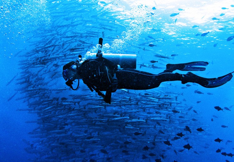 Diving under Baracuda Point in Sabah | Photo credit: Chen Wu