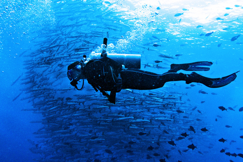 Diving under Baracuda Point in Sabah | Photo credit: Chen Wu