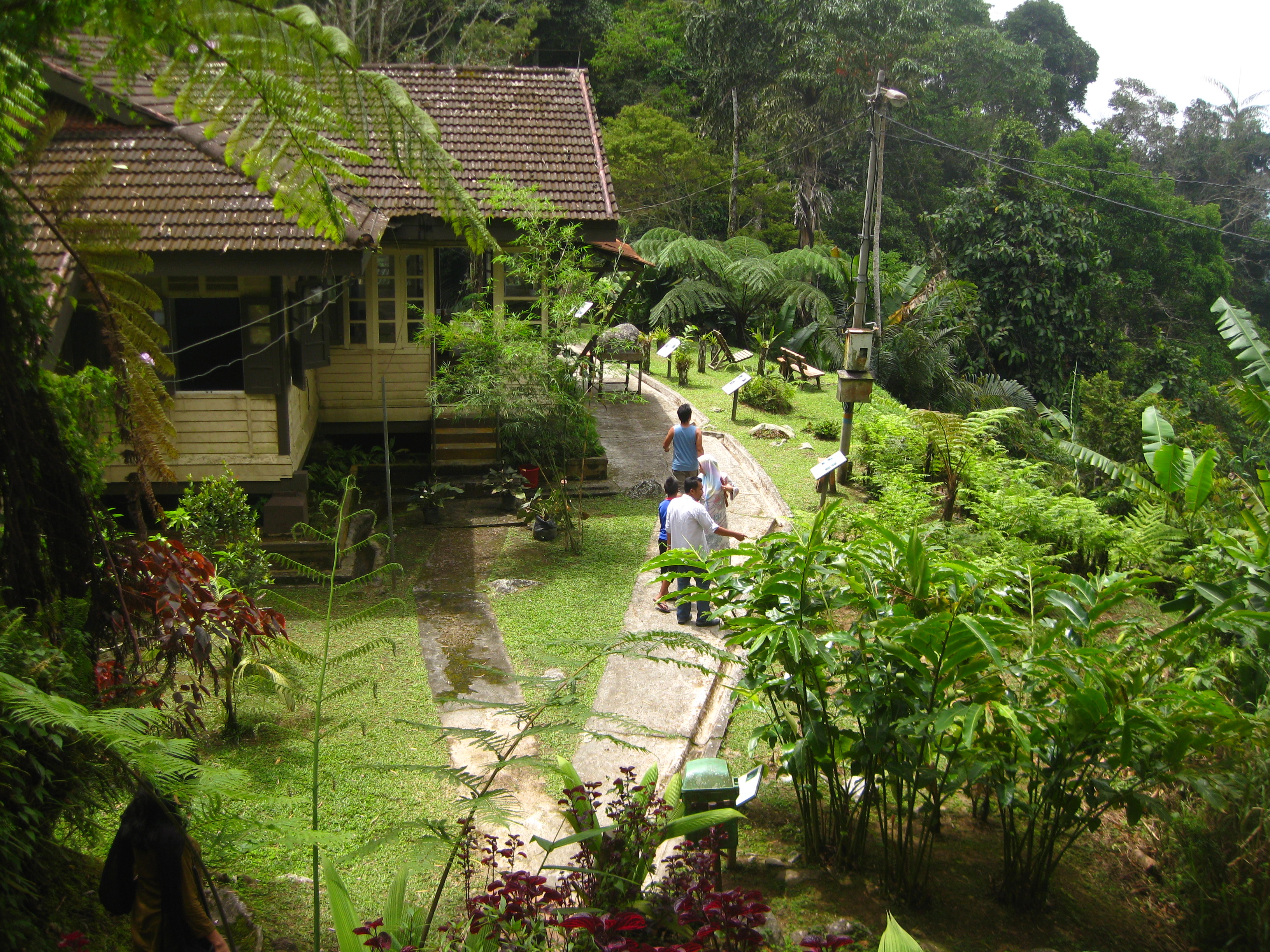 maxwell hill - bukit larut