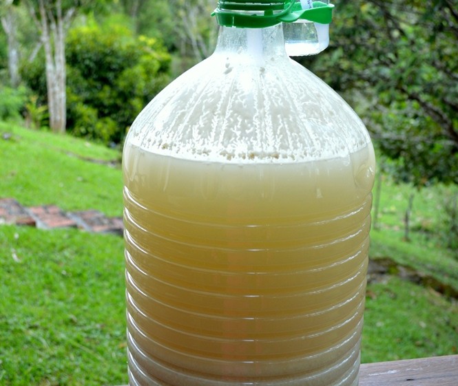 Finished Rice Wine