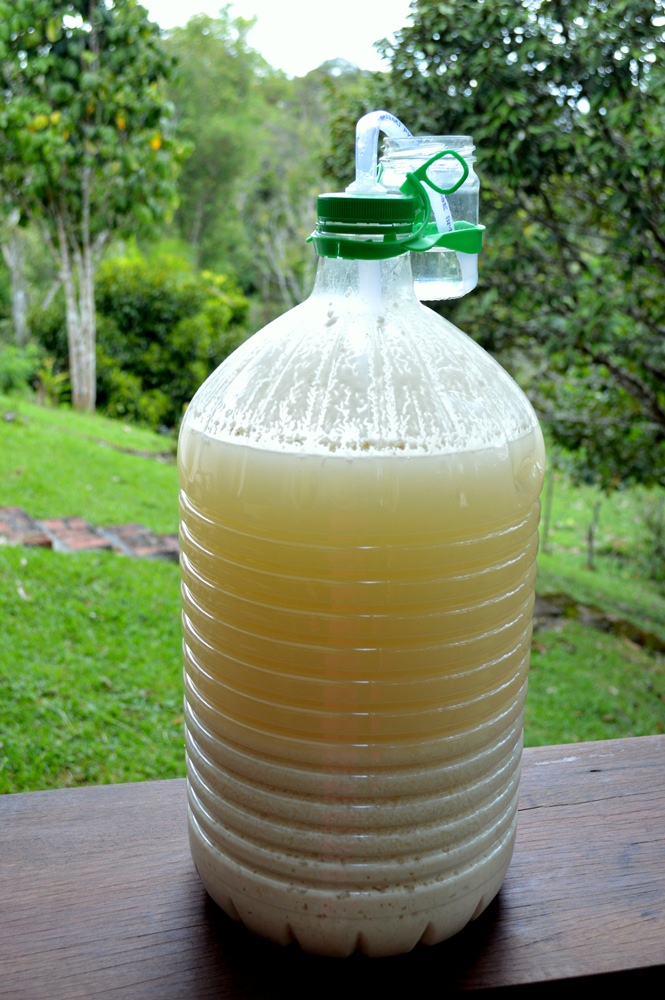 rice wine business plan