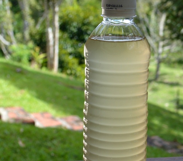 Bottled Rice Wine