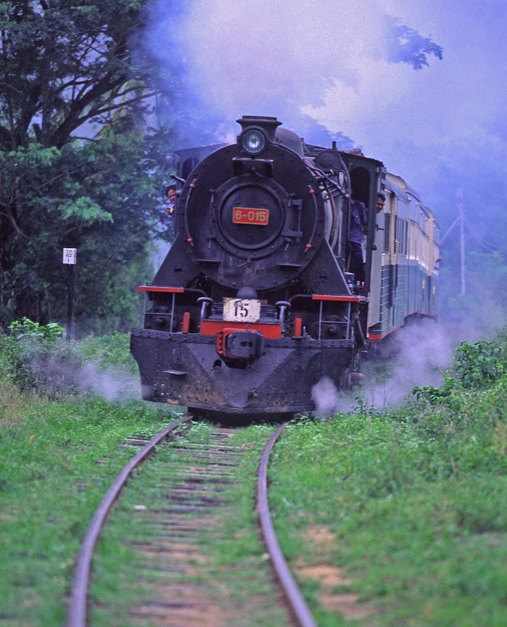 TR219 North Borneo Steam Train jungle