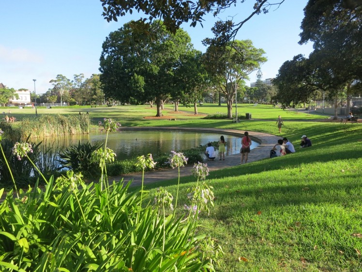 Join the locals and chill in the park