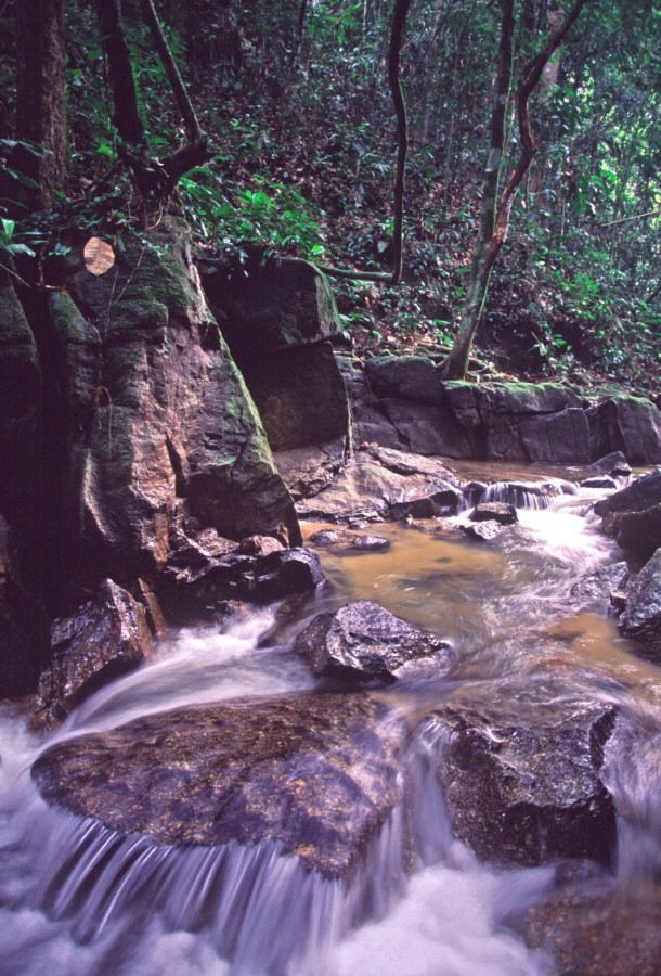 MAL3531 stream Templer Park