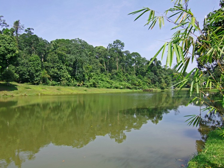 MAL7338D lake & forest Taman Botani Negara Shah Alam