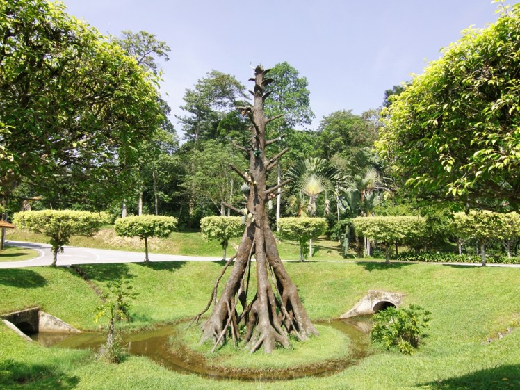MAL7340S Taman Botani Negara Shah Alam