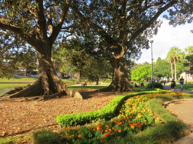 Picnics or a simple stroll