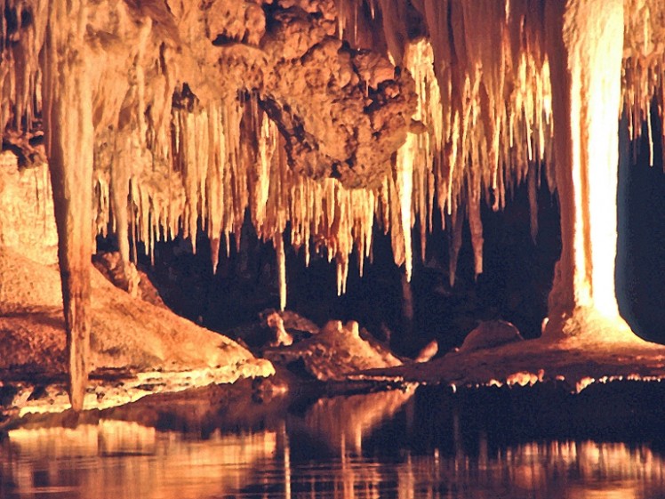 WAS311 stalactites Caveworks margaret River