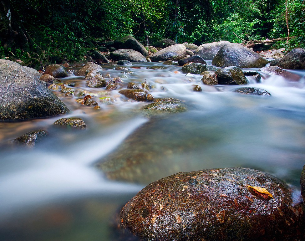 burmese pool 2