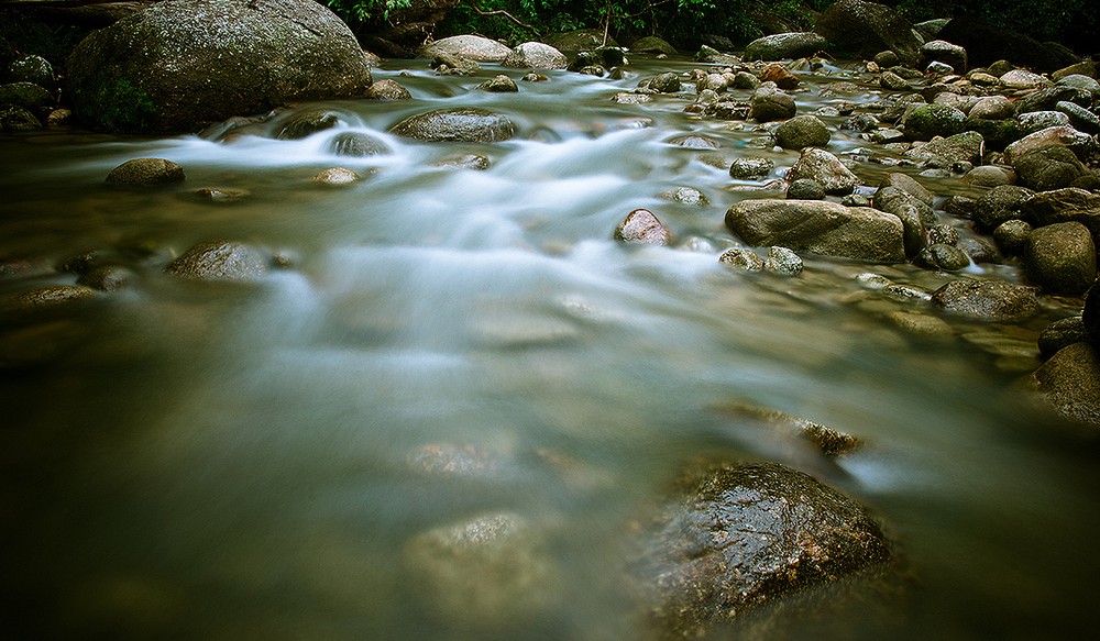 burmese pool1