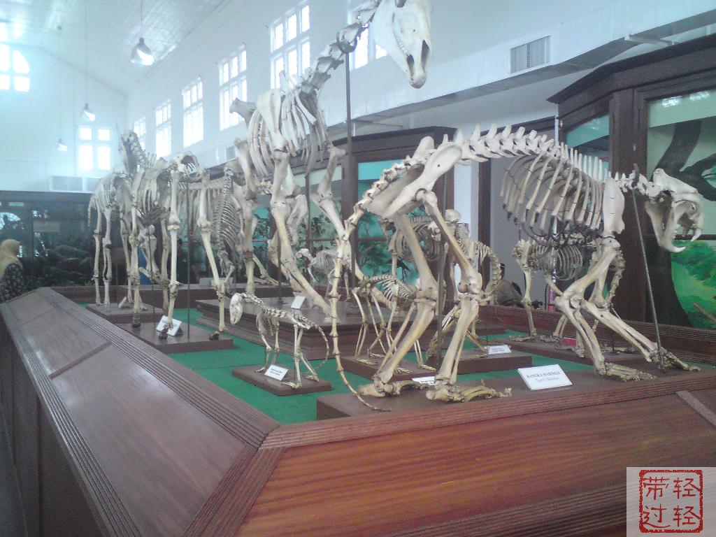 perak museum2