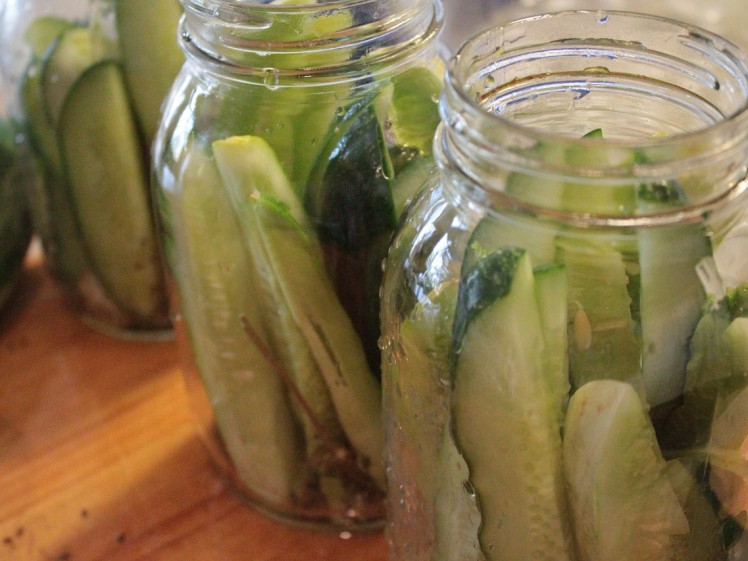 Pickles11