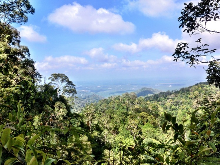 Gunung Pulai