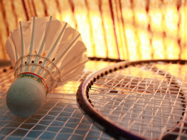 badminton-166405_1280