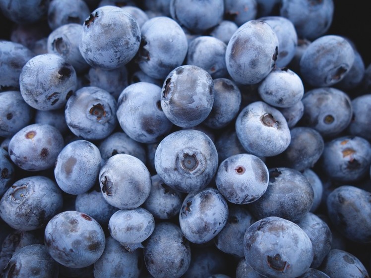 blueberries-690072_1280