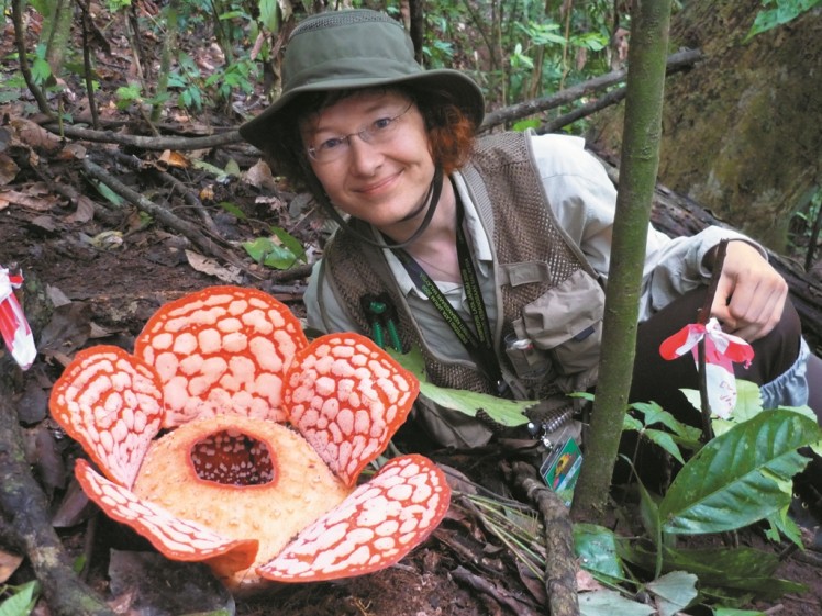 Gebeshuber_Rafflesia_P1020641