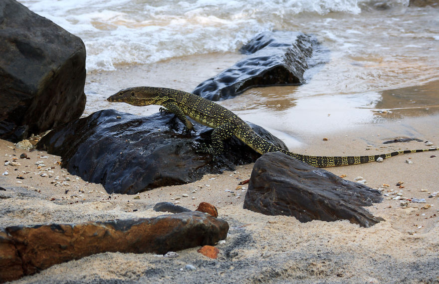 On the island, South China Sea