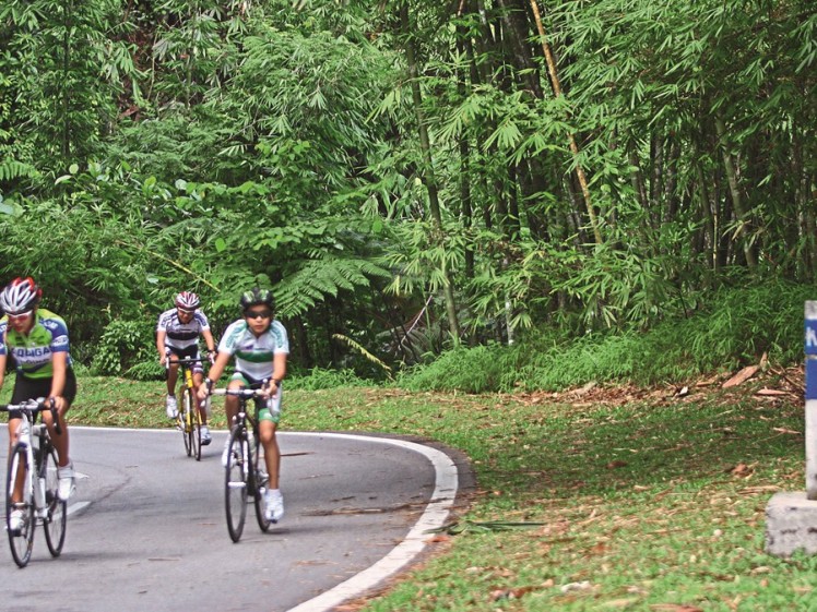 SPO4415 cycling up FraserGÃ‡Ã–s Hill 0713