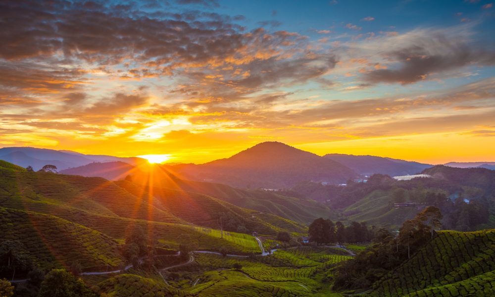 ExpatGo Destination Guide Pahang ExpatGo