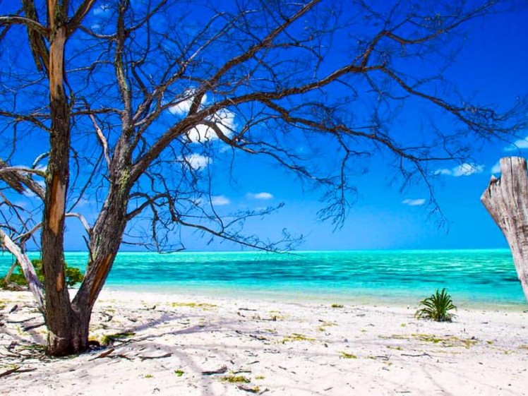 3. Heron Island