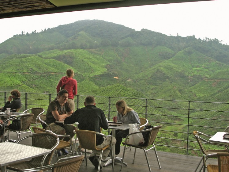 MAL6690D tea with a view Boh Tea Plantation