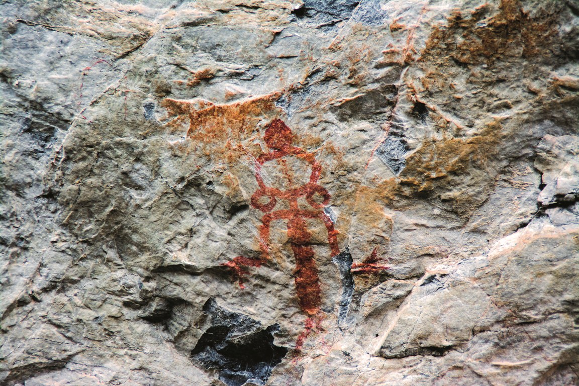 closeup of woman with big ears