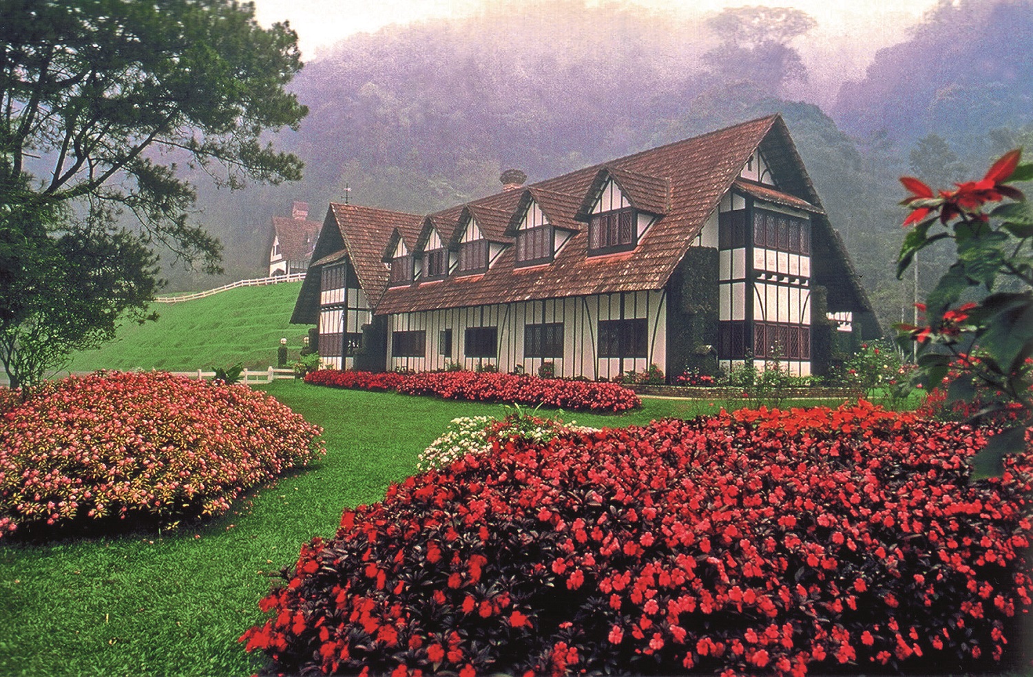 HOT4098D Lakehouse Cameron Highlands