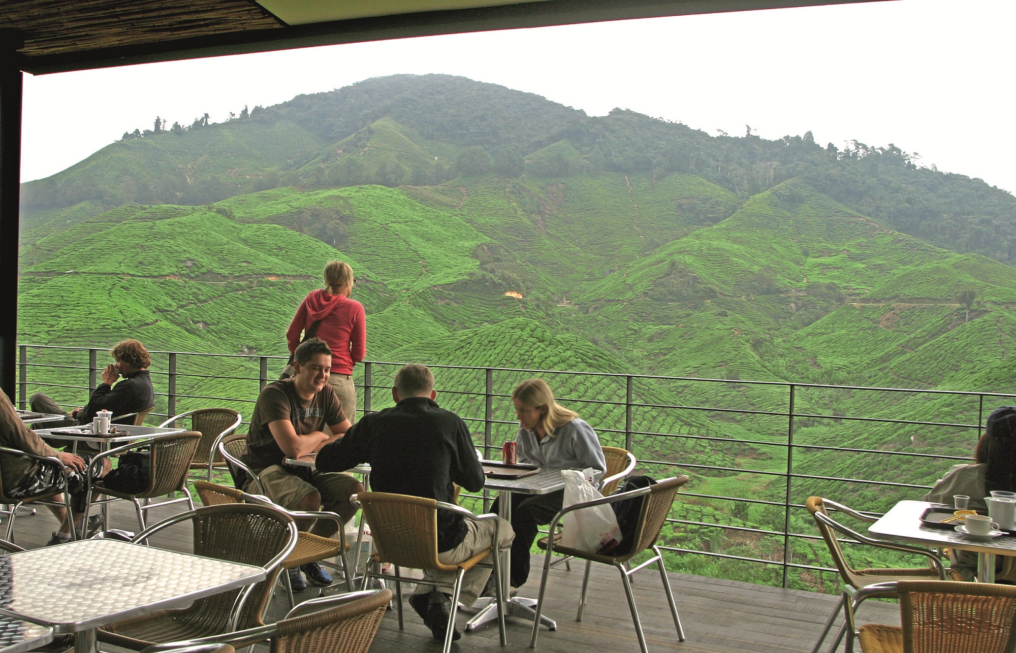 MAL6690D tea with a view Boh Tea Plantation