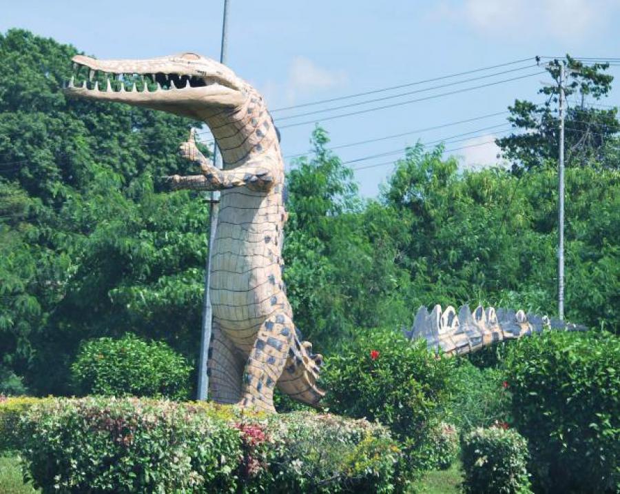 crocodile