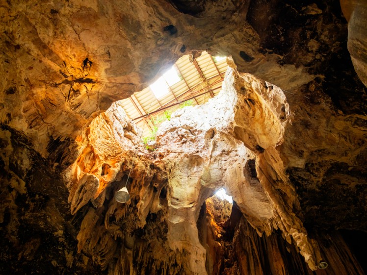 6. Gomantong Caves