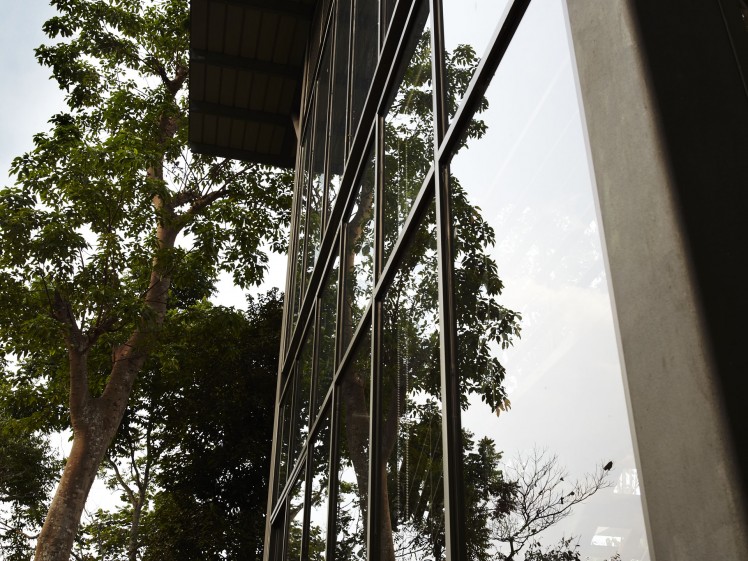 Tall glass panels