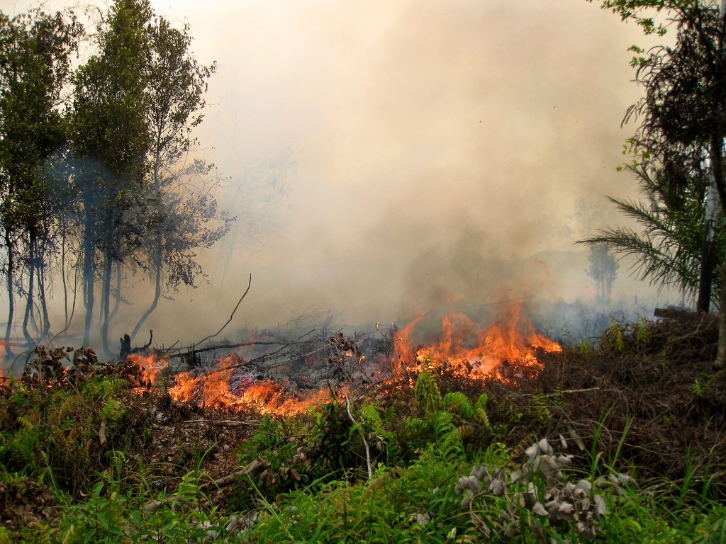 Forest fire in Central Kalimantan, 2011 | Photo credit: CIFOR