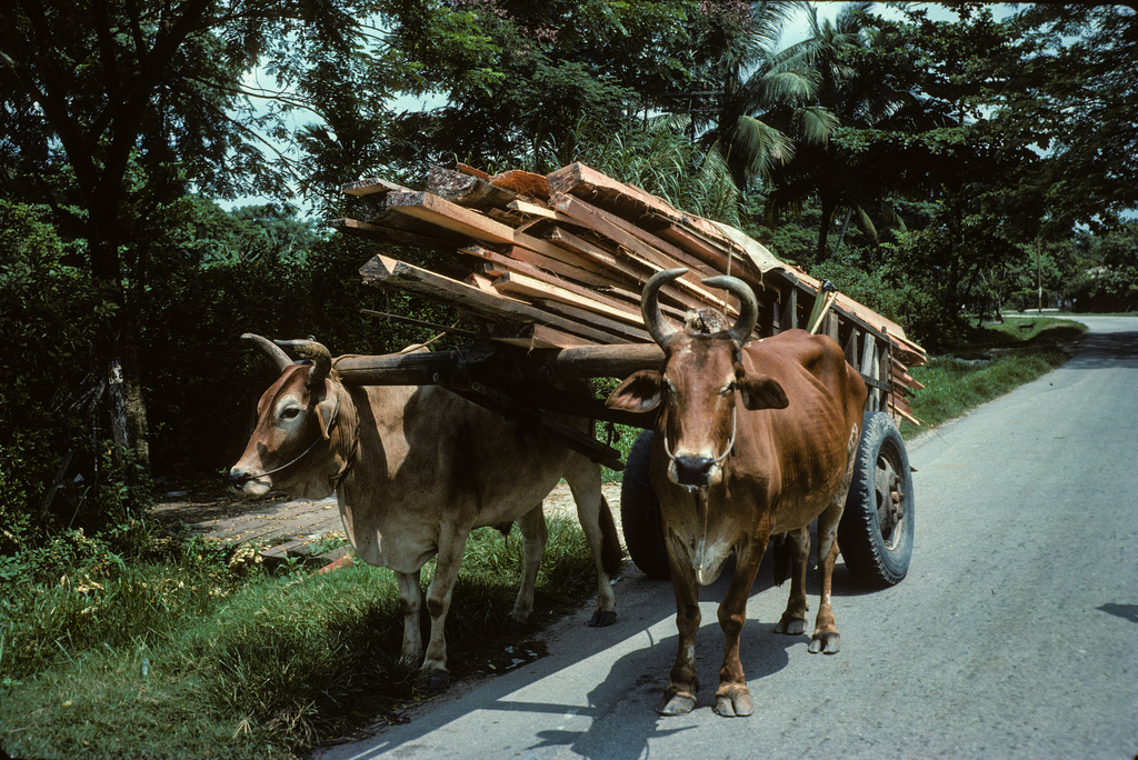 kuala lumpur in 1975 (14)