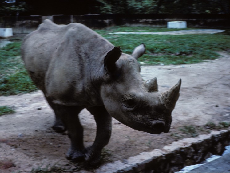 kuala lumpur in 1975 (31)