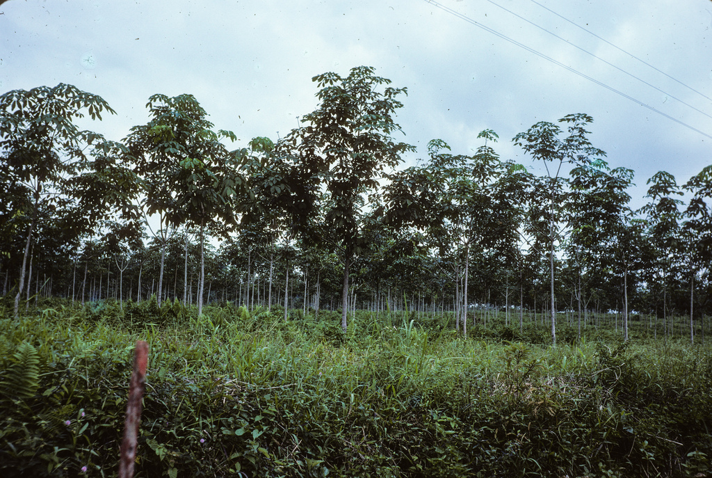kuala lumpur in 1975 (32)