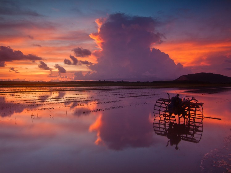 sunset kedah