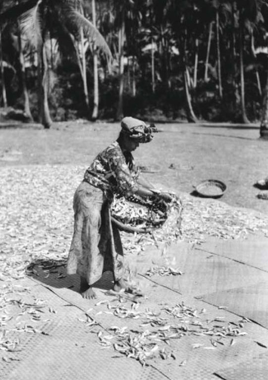 Drying fish, Rusila 1950s