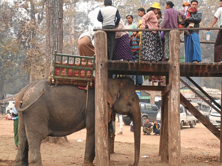 Boarding an elephant