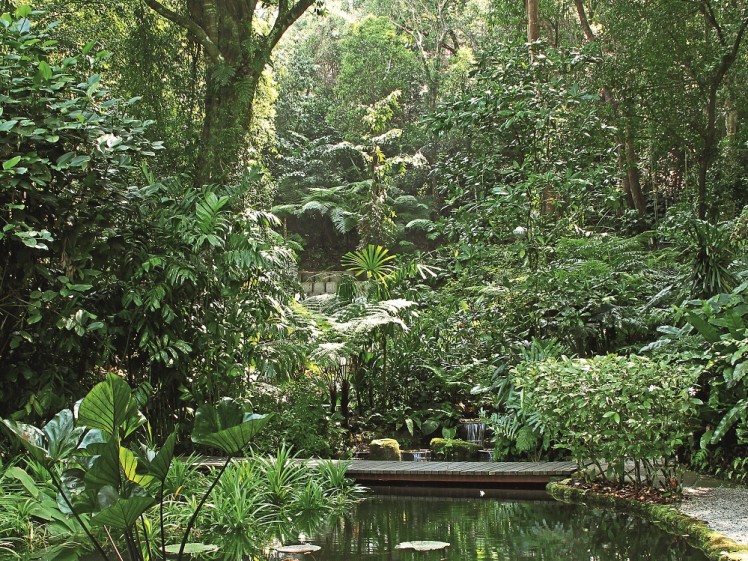 MAL7484 Forest Tropical Spice Garden Penang