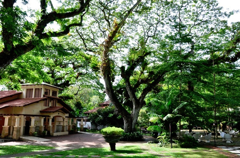 Municipal Park Penang