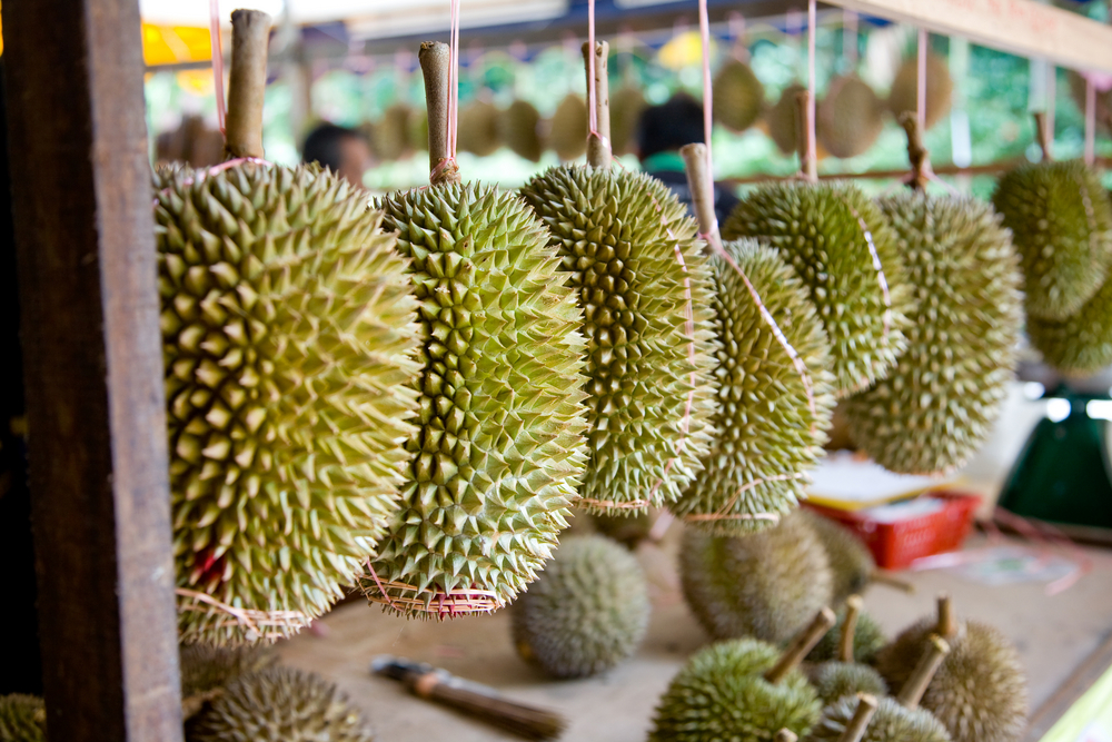 Durian Season Malaysia 2017 - Best Restaurant To Eat Durian King Ttdi æ