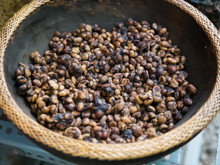 kopi luwak BEANS (2)