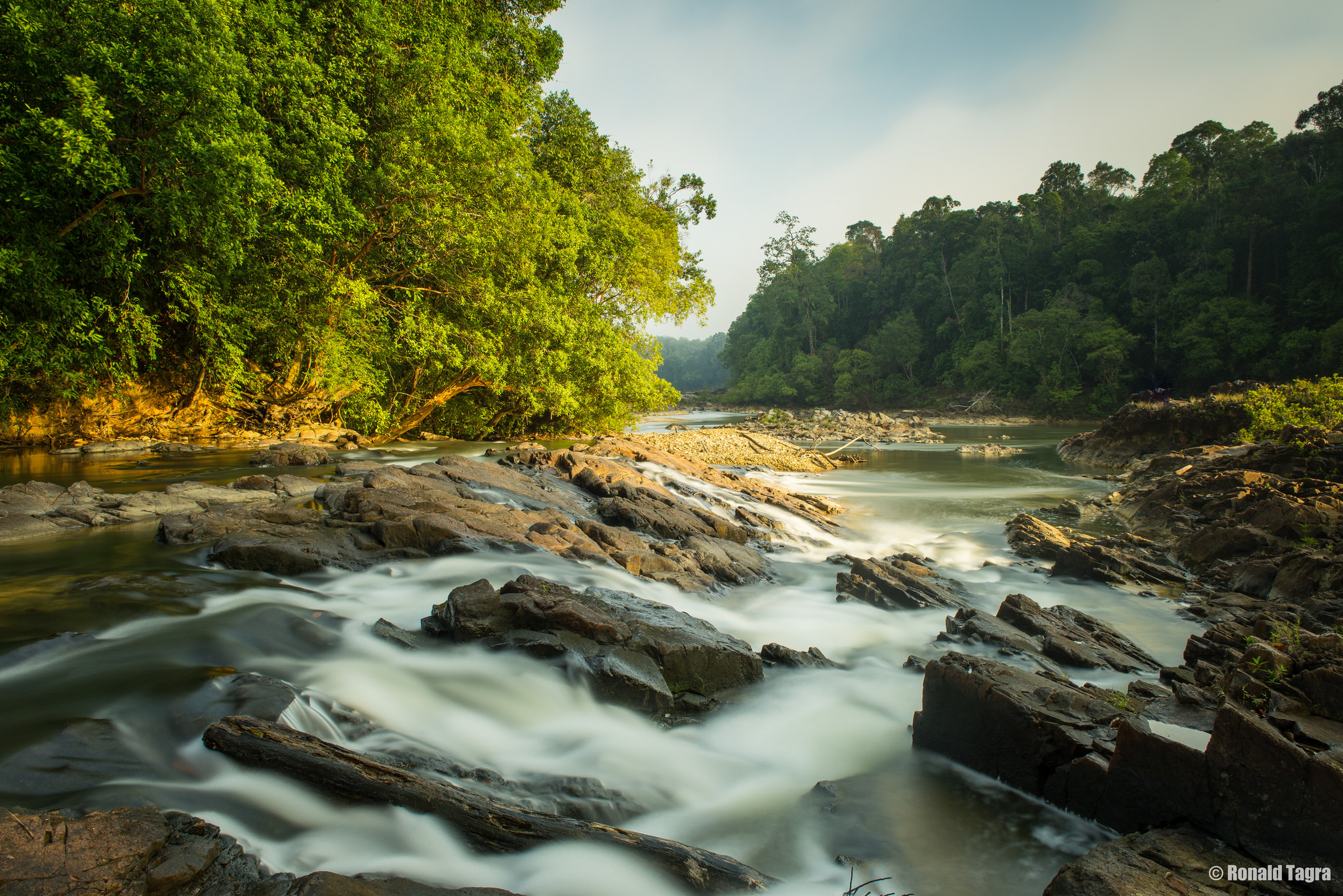 Endau Rompin National Park Johor - Jasin River